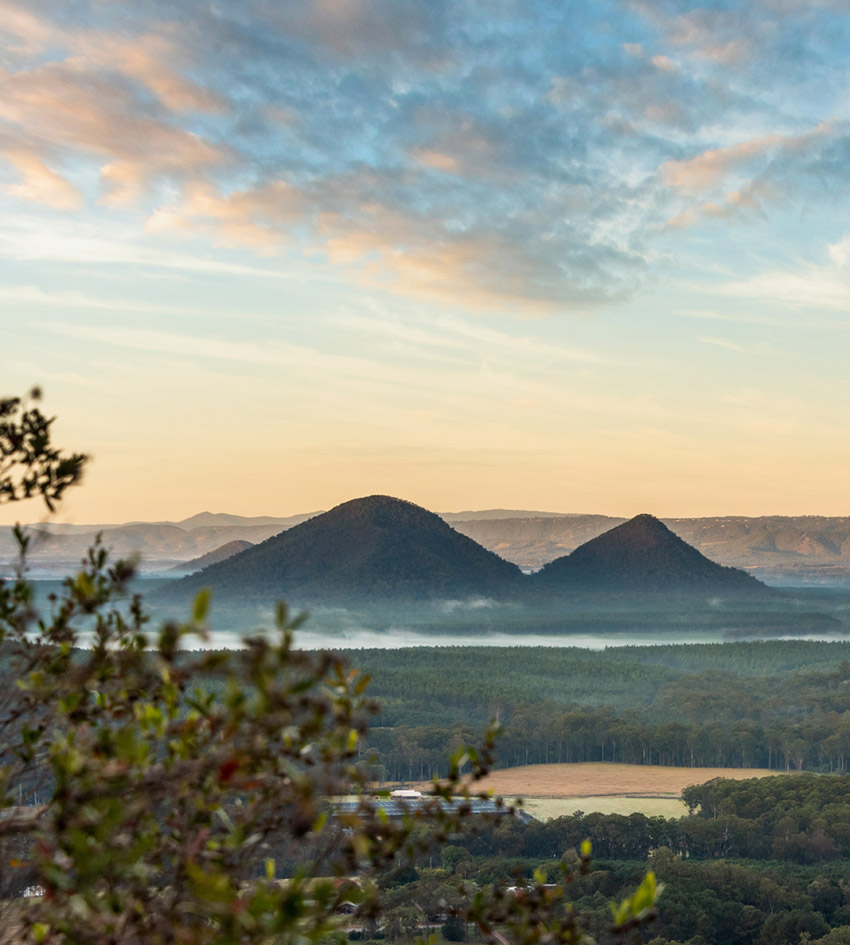 Sunshine Coast Nature Immersion