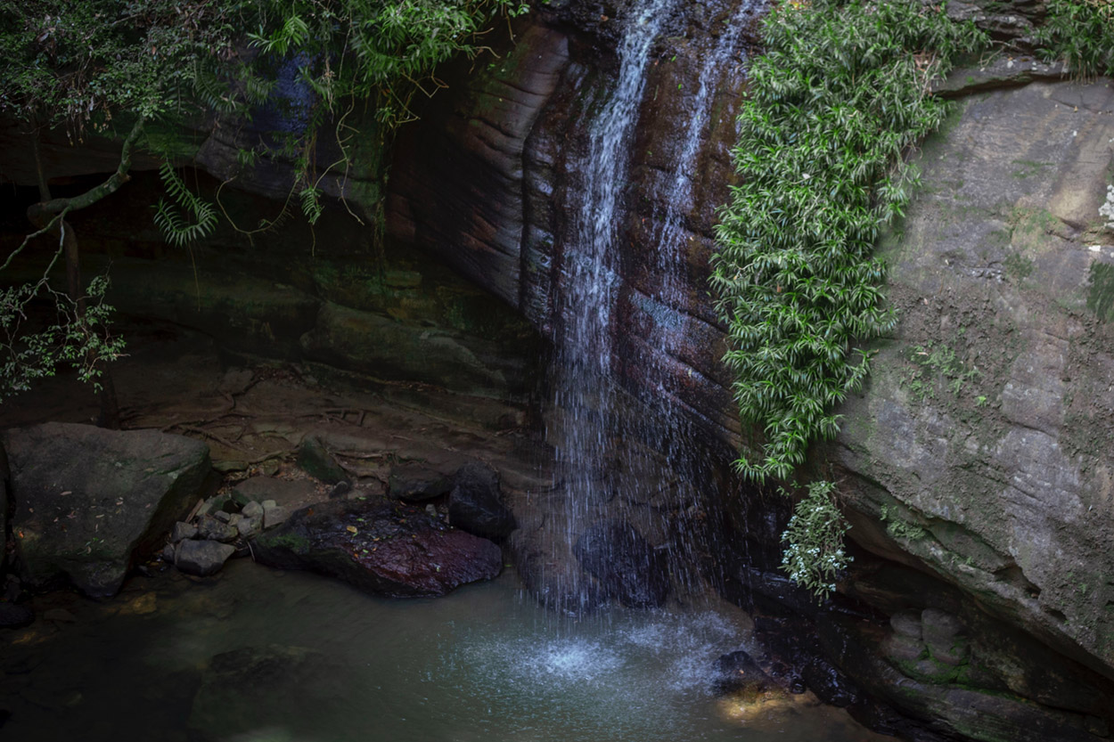 Nature experiences for kids on the Sunshine Coast